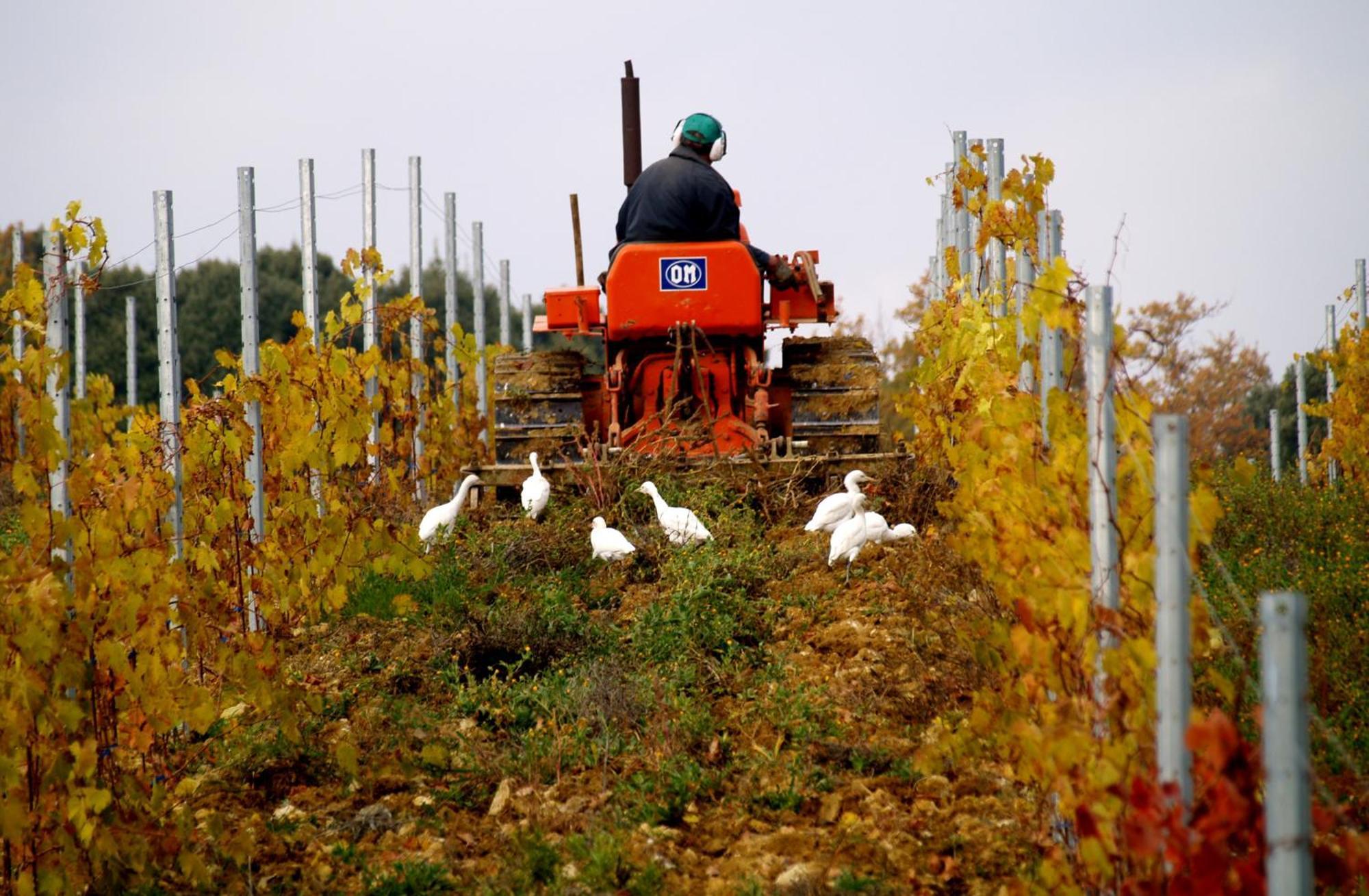 Agriturismo La Roverella Monteroni d'Arbia Luaran gambar